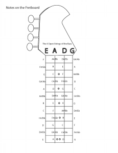 Fretboard 12 frets Fretboard 12 frets