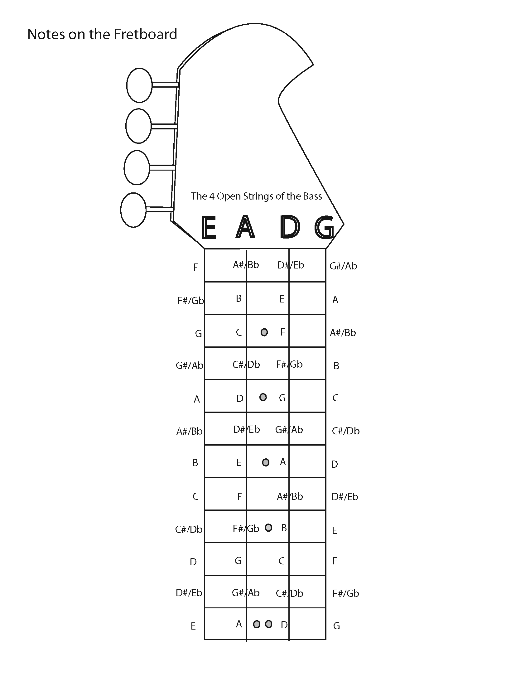 Fretboard Chart Bass